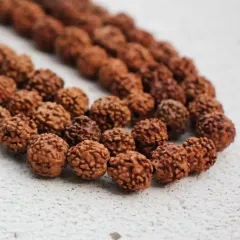 Natural Wood Nut Beads