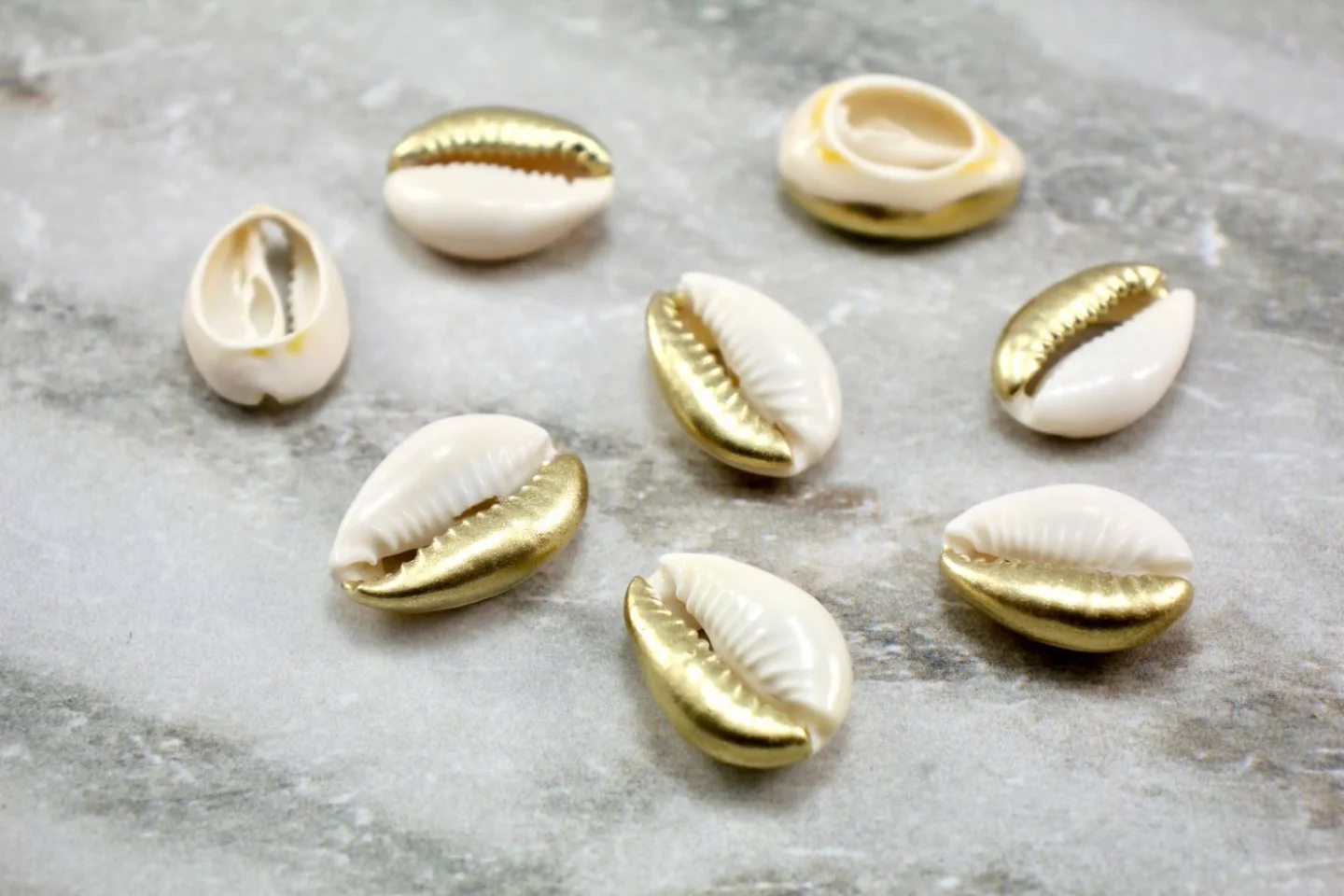 Gold-Cowrie-Shell-Sea-Beads-Cowrie.